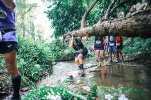 BIB: 
                            <button type="button" onclick="openModal(25458210)" class="btn btn-primary btn-sm float-right btn-popup" data-toggle="modal" data-target=".modal-high-quality">
                        <i class="fas fa-shopping-cart"></i> Add to Cart
                    </button>
                                            <button type="button" onclick="isThisMe(25458210, true)" class="btn btn-success btn-sm float-right btn-popup btn-isme hidden" data-toggle="tooltip" data-placement="bottom" title="นี่คือรูปของคุณใช่ไหม คลิกที่นี่เพื่อเอาเข้าอัลบั้ม">
                        <i class="fas fa-plus"></i> Add to album
                    </button>
                    <button type="button" onclick="isThisMe(25458210, false)" class="btn btn-warning btn-sm float-right btn-popup btn-isnotme hidden">
                        <i class="fas fa-ban"></i> Remove from album
                    </button>